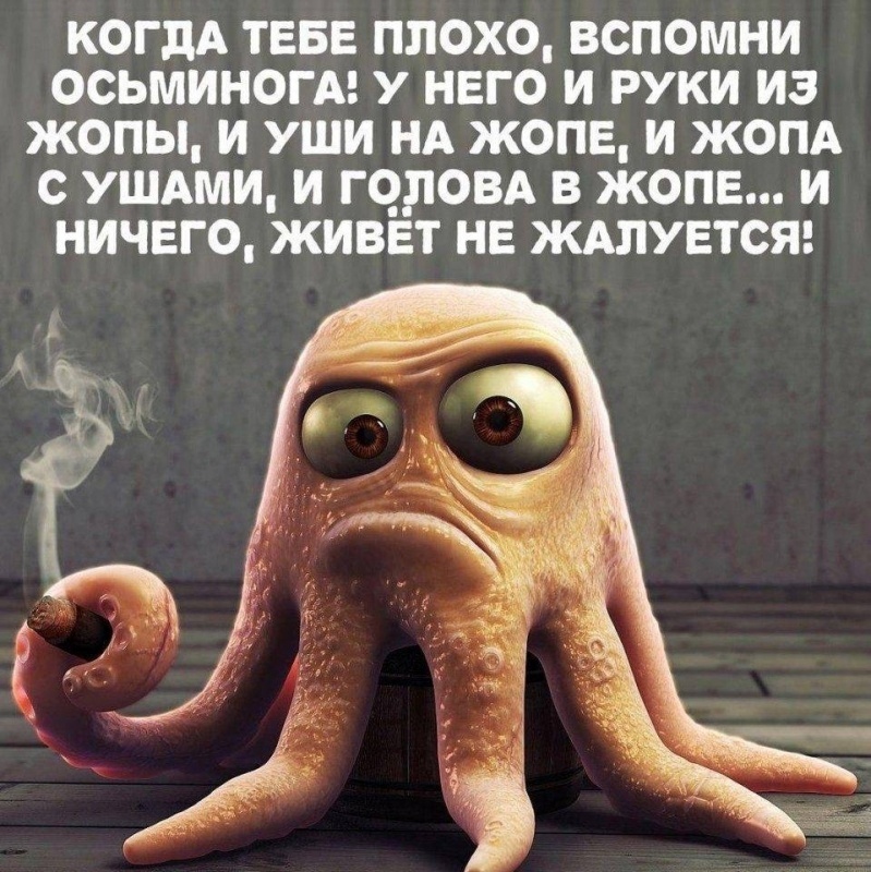 null e1088bb413766d2f7fdd342a8db9fd5cc0d20d53